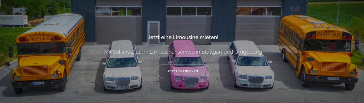  Stretchlimousinen Flein -Pink Stretchlimousine